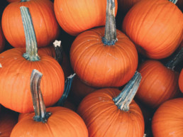 citrouilles